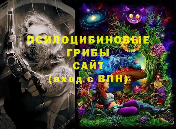 прущий лед Тихвин