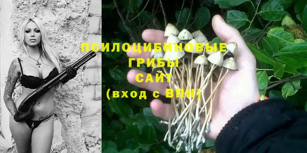 прущий лед Тихвин