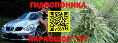 дживик Дубна