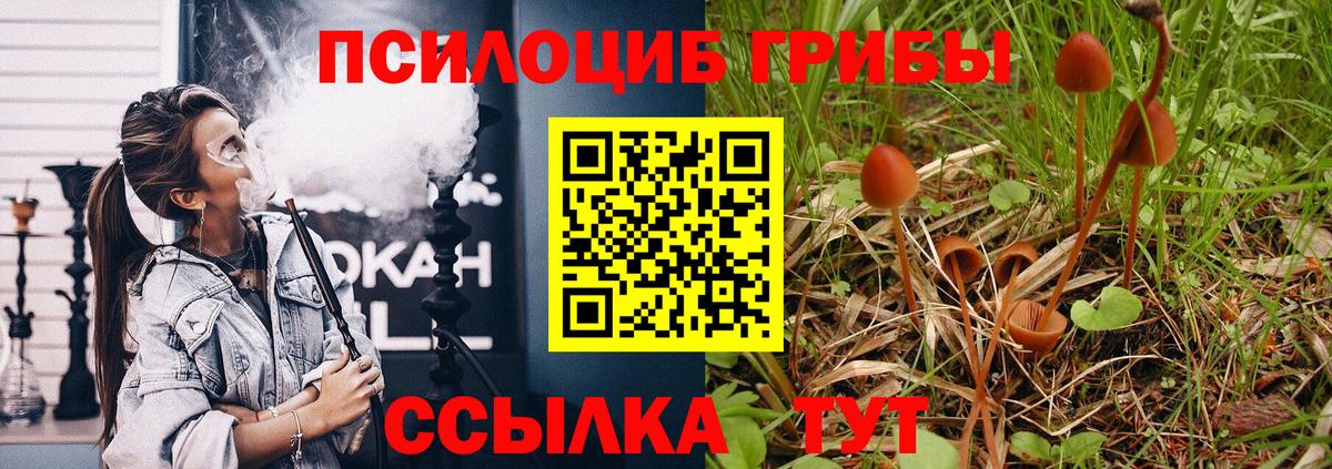 Псилоцибиновые грибы Magic Shrooms Фролово