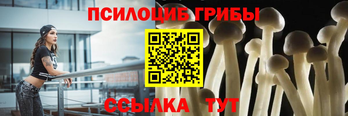 Фролово  Галлюциногенные грибы GOLDEN TEACHER  Вход с VPN  Псилоцибиновые грибы мухоморы 